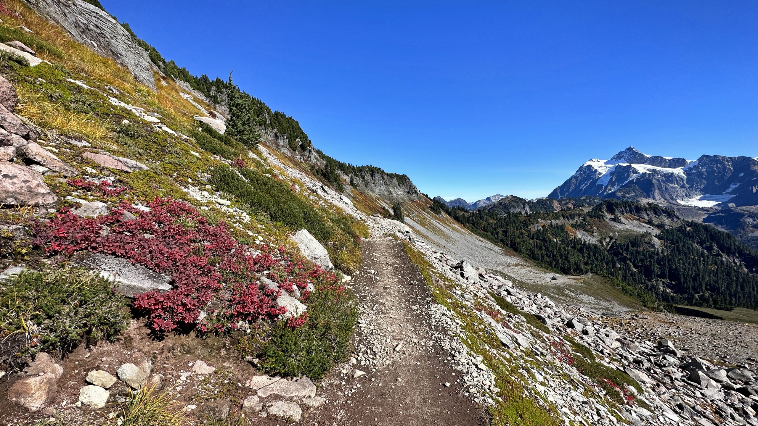 Forested mountain ridge near Artist Point with Mount Shuksan in the North Cascades